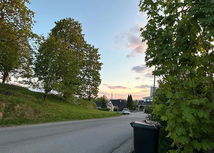 Scandinavian Style Ridabu Ferienhaus Hamar (Hedmark)