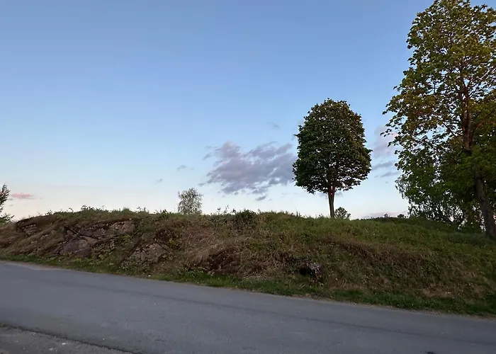 Scandinavian Style Ridabu *